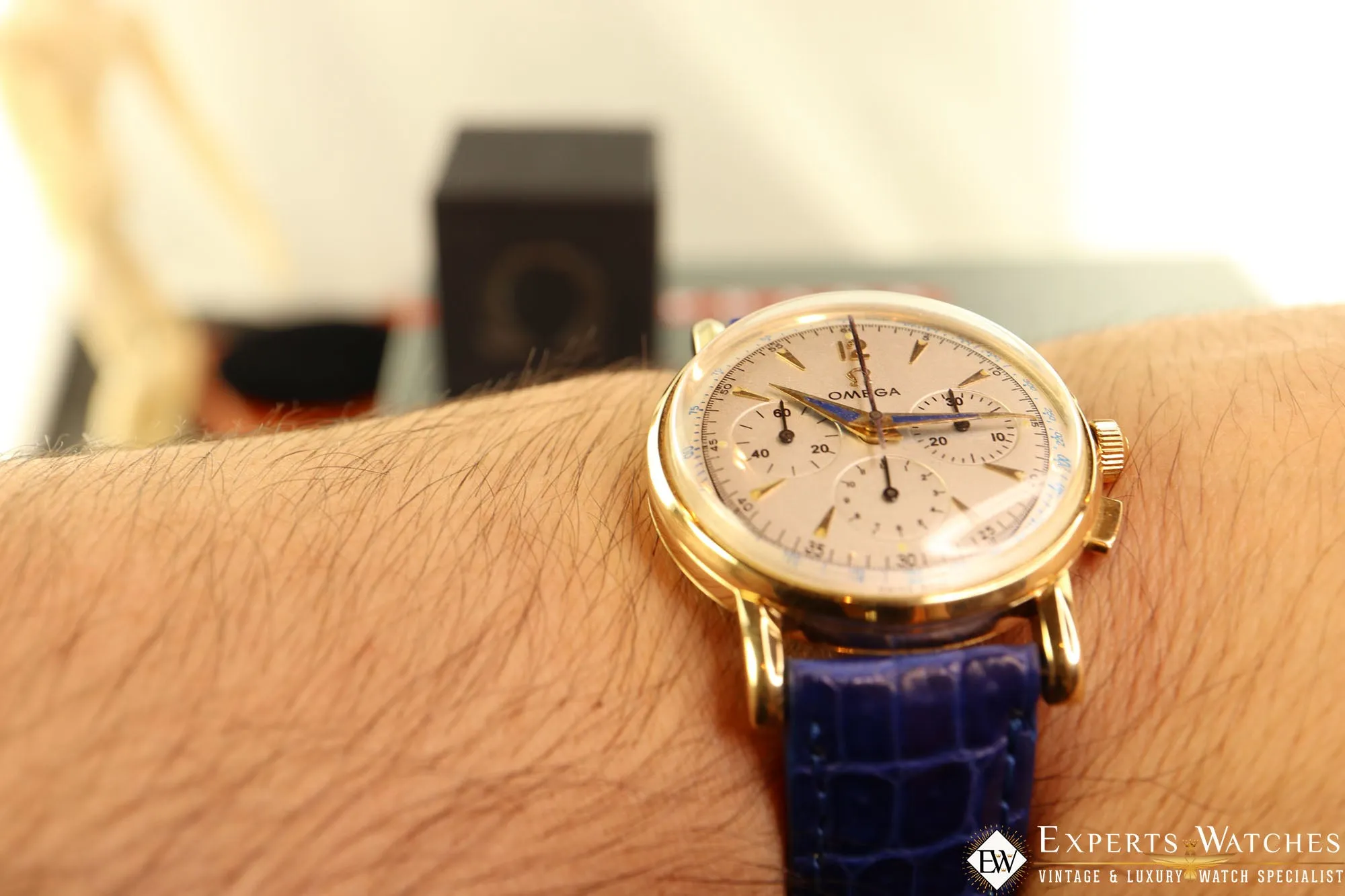 1949 Vintage Omega 2439 Chronograph 14K Gold Cal 321 Box Blue Art Deco Hands