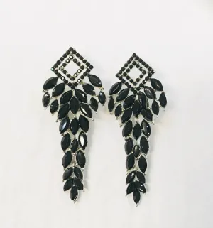 Black Amazing Earrings