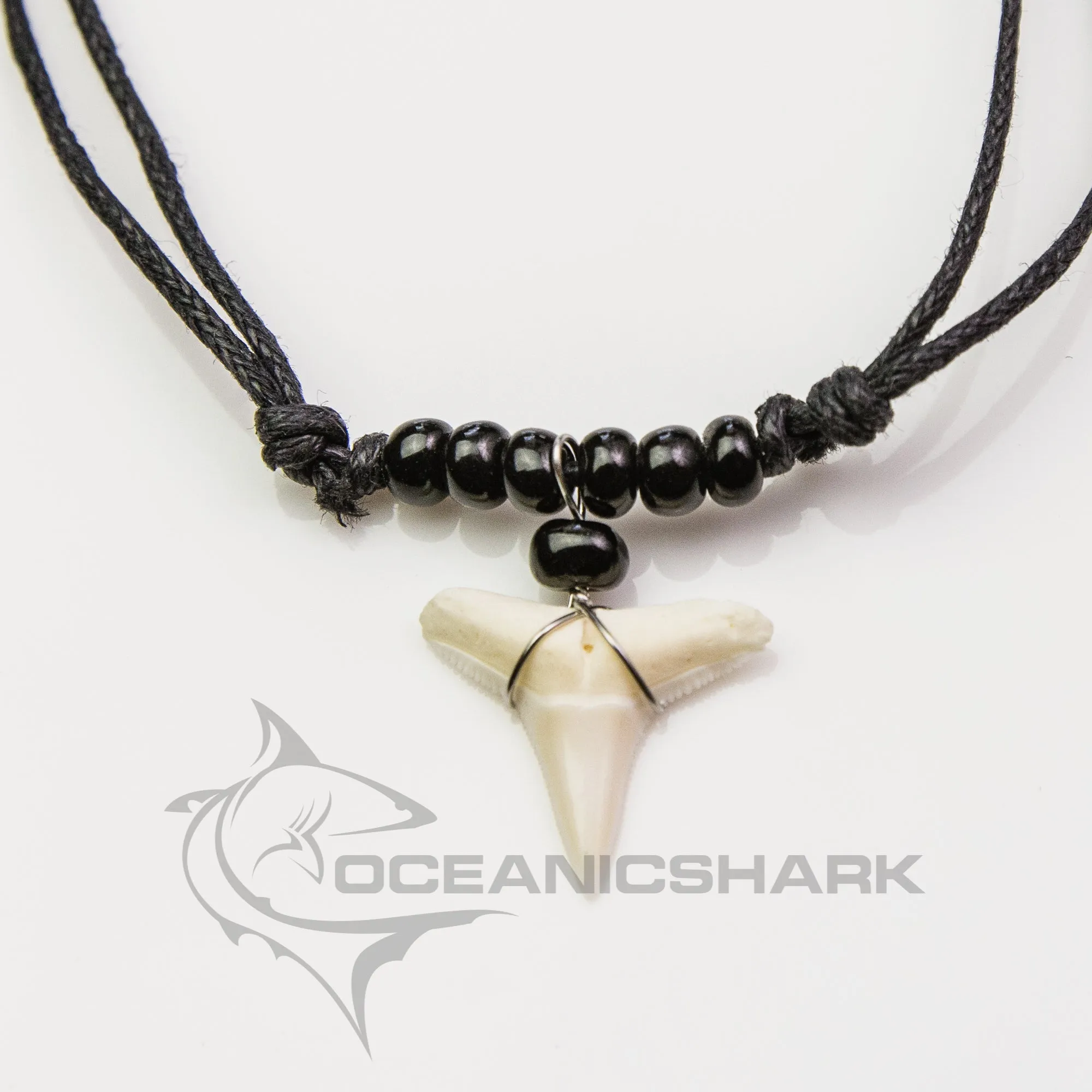 Blacktip Shark Tooth Necklace Good Luck c89