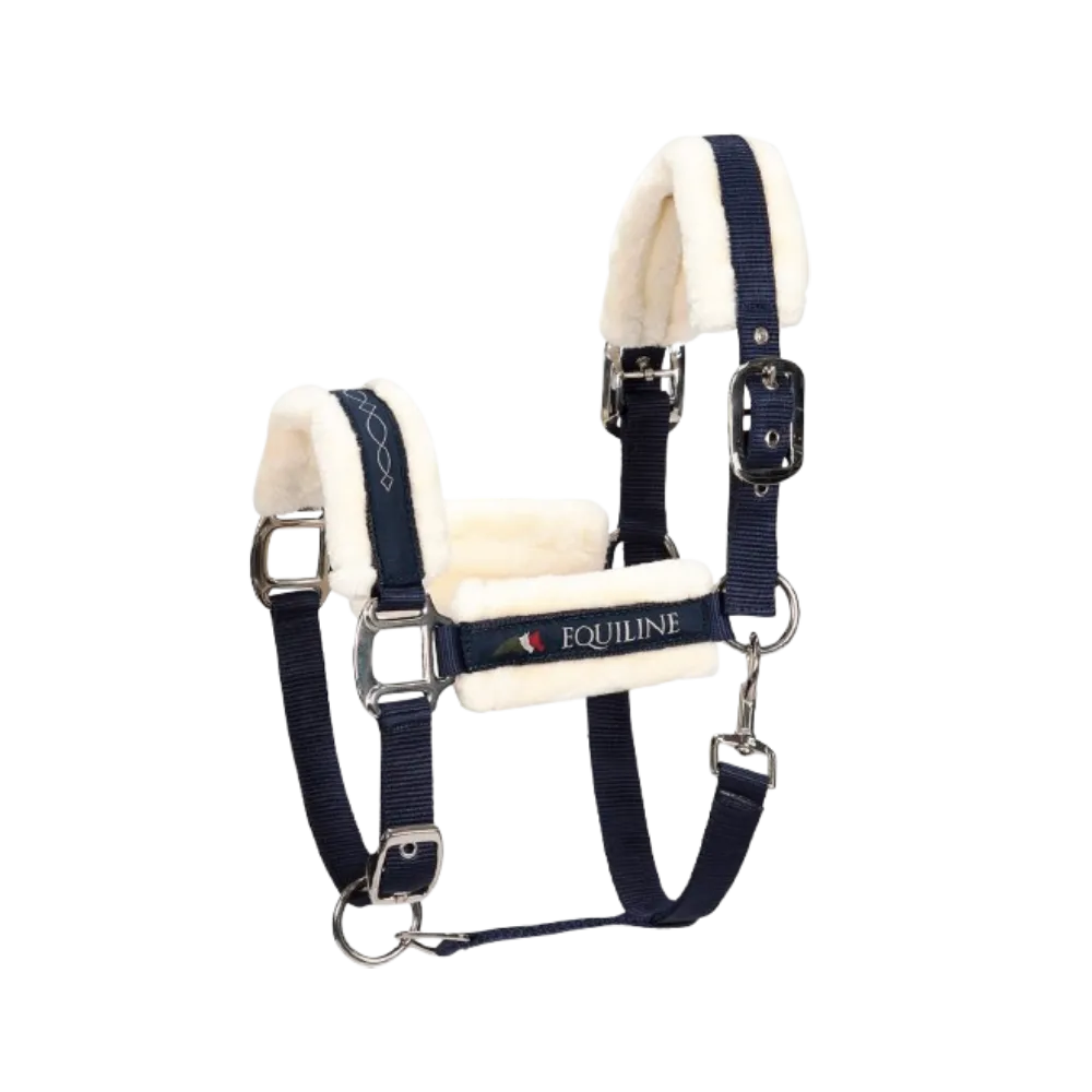 Halter TOM by Equiline