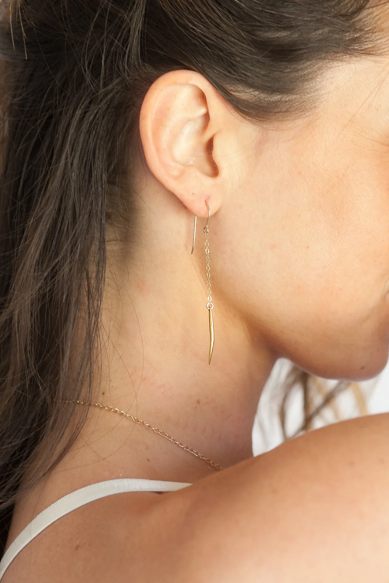 Montana Chain Earrings