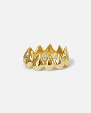 Pyrus Crown Band