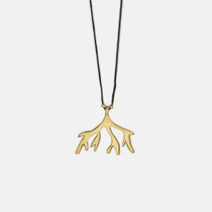 Sea Fan