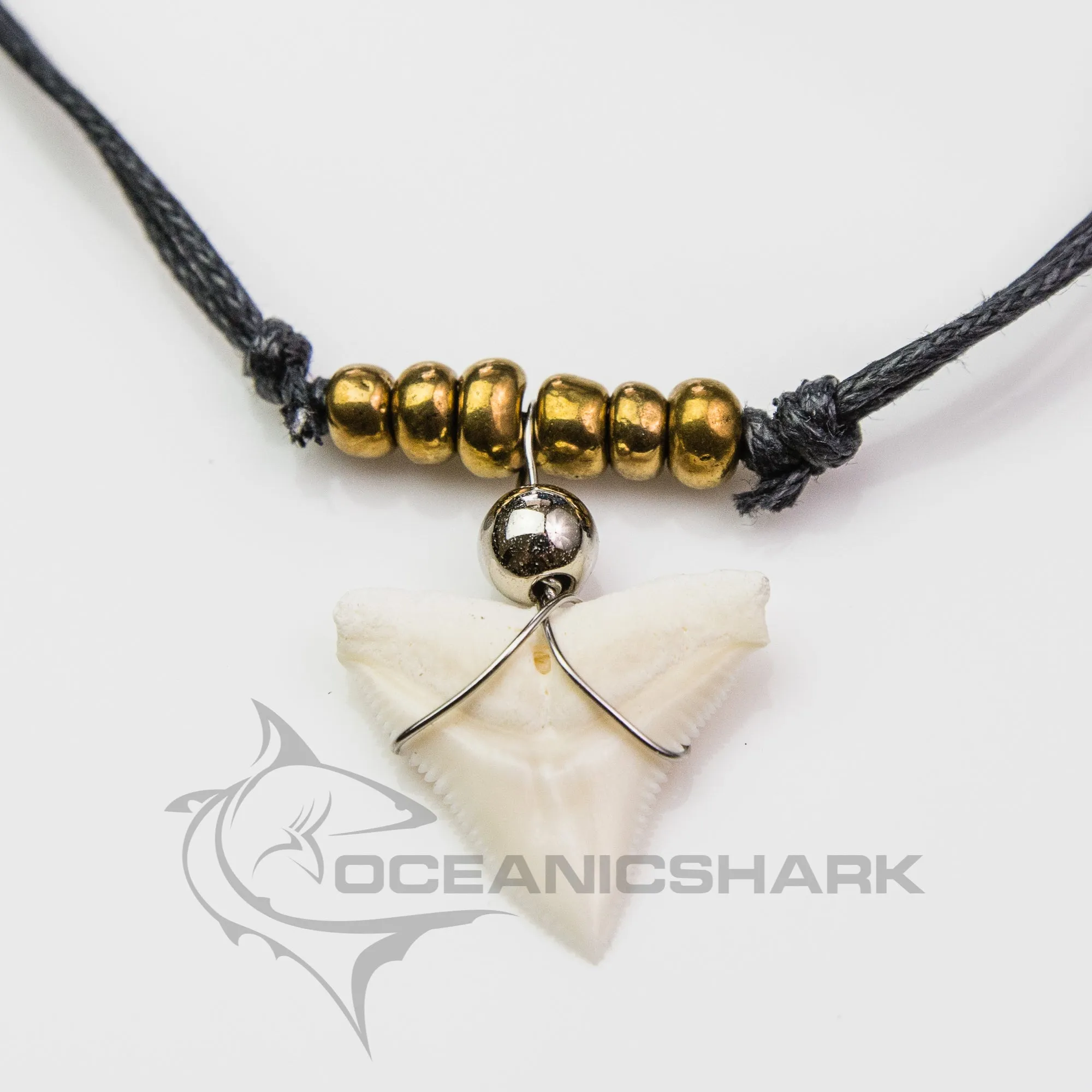 Shark Tooth Necklace Real c67