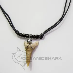 Shark Tooth Necklace With Fossil Shark Tooth c216